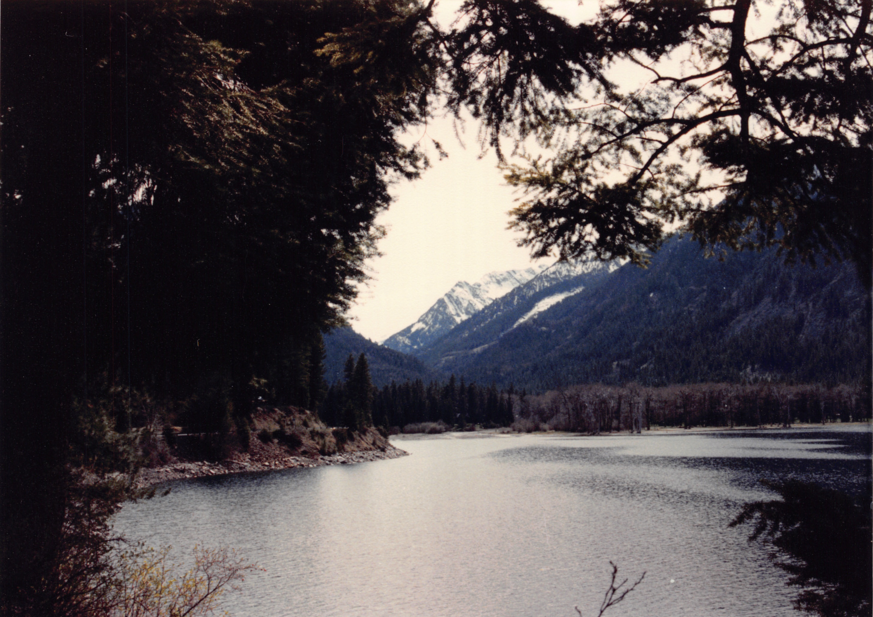 1985_Part 2_01_026.jpg